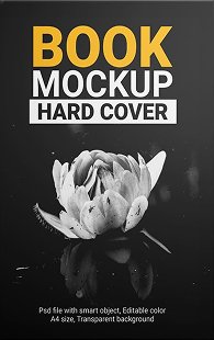 Book Cover 11